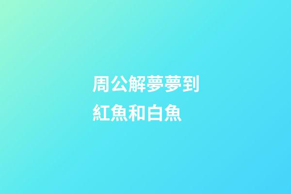 周公解夢夢到紅魚和白魚 (夢見紅白相間的魚)-第1張-觀點-玄機派